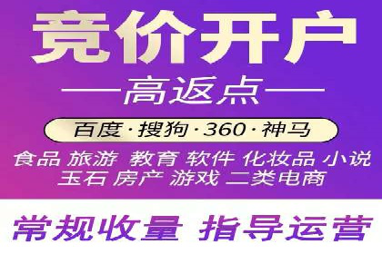 解析某某SEM服务公司的广告投放策略与效果评估